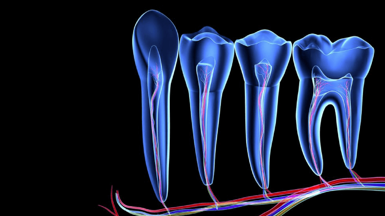 FELLOWSHIP IN ENDODONTICS AND RESTORATIVE DENTISTRY sscdsguide
